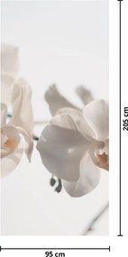Fotótapéta ajtóra - Fehér orchideák (95x205cm)