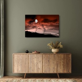 Kép - Hold megvilágítja az éjszakát (90x60 cm)