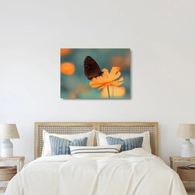 Kép - pillangó narancssárga virágon (üvegen) (70x50 cm)