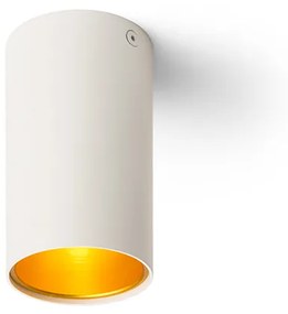 RENDL R12745 TUBA felületre szerelhető lámpatest, downlight matt fehér/aranysárga