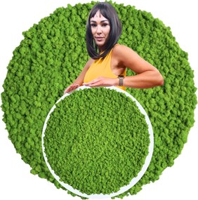 Vászonkép fa kerek fehér keretben Mohával 50cm átmérő