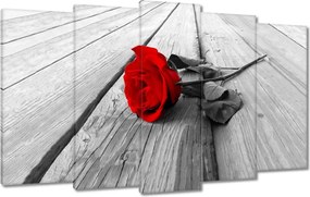 Våszonkép 100x60 Vörös rózsa a fån