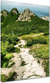 Vászonkép 70x100 Tátra Lengyel hegyek Kilátás