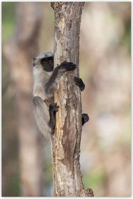 Poszterek 80x120 Pihenés a természetben