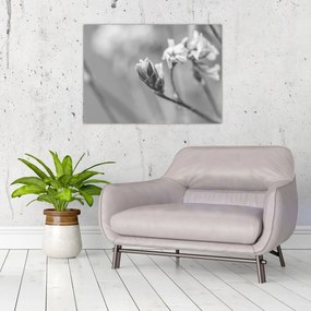 Üveg kép - Virágzó virág (70x50 cm)