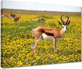 Vászonkép 40x30 Antilop a virágok között