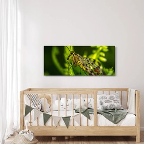 Rovar képe (120x50 cm)