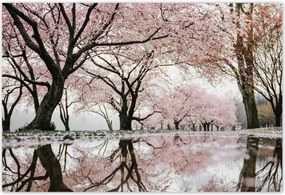 Poszterek 185x125 Fa Fák Kilátás