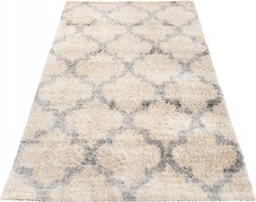 Shaggy Szőnyeg 160x230 Modern Puha Szőrös 30