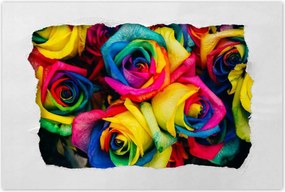 Poszterek 60x40 Színes rózsák Virágok