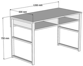 Íróasztal Nove - Walnut