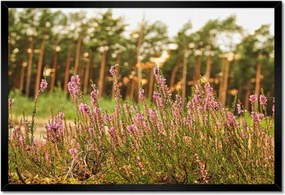 Poszterek keretben 60x40 Hanga pókhálóval fonva