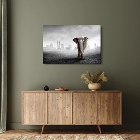 Kép -Elefánt egy nagyvárosban, fekete-fehér változat (90x60 cm)