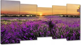 Vászonkép 150x80 Levendula Naplemente