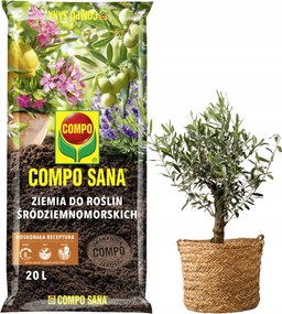 Föld Citrus aljzat leanderek Mediterrán levendula 20L Compo