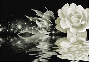 Fotótapéta Flizelin Fali Ragasztó Szett Fényes rózsa 312x219 Ragasztó