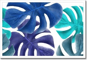 Poszter keretben 60x40 Monstera Levelek Kék