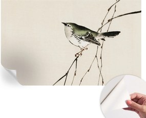 Öntapadós Dekoratív Fotótapéta Hálószobába Harmonikus madár 416x254 cm