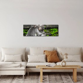 Kép - majmok (órával) (90x30 cm)