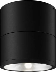 MAYTONI O310CL-L12GF3K SPIN Modern Kültéri Mennyezeti Lámpa LED IP54