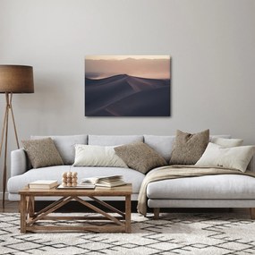 Kép - Homokdűnék (70x50 cm)