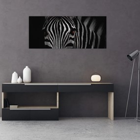 Zebra képe (120x50 cm)