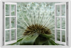 Poszterek 60x40 Pitypang Virág Virágok