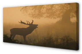 Canvas képek Deer napkelte 125x50 cm