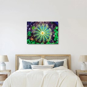 Kaktusz kép (üvegen) (70x50 cm)