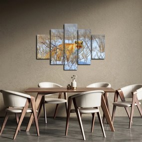 Kép - Róka (150x105 cm)