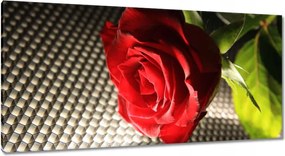 Vászonkép 115x55 Ízléses rózsa ajándékba