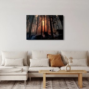 Sötét erdő képe (90x60 cm)