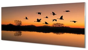 Üvegképek Repülő madarak naplemente 120x60cm