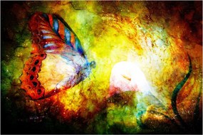 Kép - Kozmikus pillangó (90x60 cm)