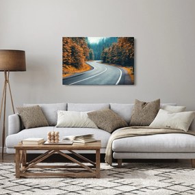 Kép - Kanyargós út (90x60 cm)