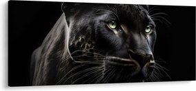 Kép - Fekete Párduc (120x50 cm)