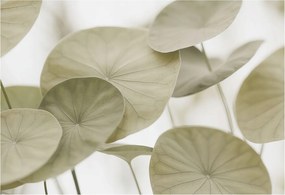 Fotótapéta Fali tapéta Hálószoba Nappali Természetes elegancia 152x104