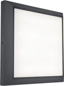 LUTEC 5102101118 HELENA Modern Kültéri Fali Lámpa Antracit LED IP44