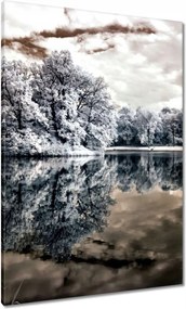 Vászonkép 70x100 Sziget a tavon