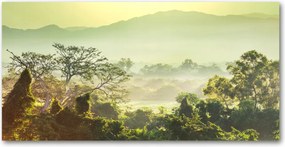 Fotótapéta falra edzett üveg Dzsungel 140x70