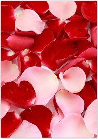 Poszterek 70x100 Nőnap Ajándék Love