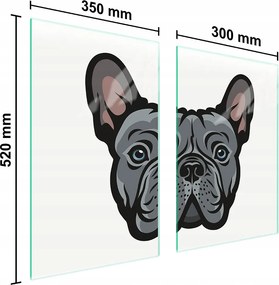Üveg Konyhai Védőlap 65x52 Kutya