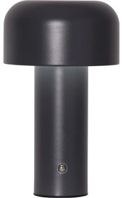 Szürke LED asztali lámpa (magasság 21,5 cm) Bobby – Star Trading