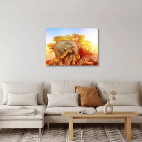 Afrikai állatok képe (70x50 cm)