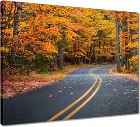 Vászonkép 50x40 Tájkép Látvány