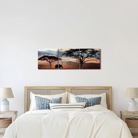 Kép - Serengeti Nemzeti Park, Tanzánia, Afrika (órával) (90x30 cm)