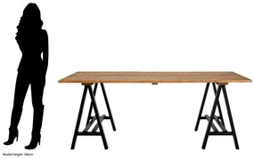 Borovi fenyő étkezőasztal 100x200 cm Hampstead – Premier Housewares