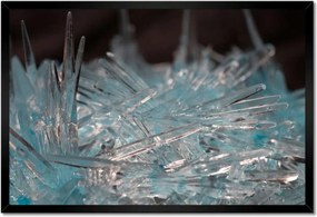 Poszterek keretben 60x40 Makrofotó MacroFoto