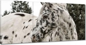 Vászonkép 180x90 Almás ló