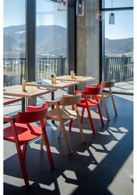 Piros tölgyfa karfás étkezőszék Flip – Gazzda